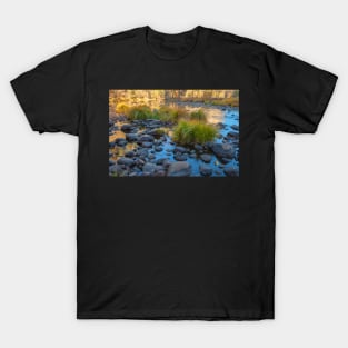 Dried Up Merced T-Shirt